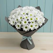 Букет цветов из:  Хризантемы в Исаклы