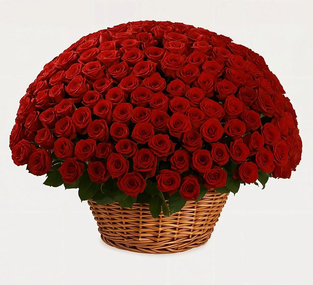 Премиум букет из: Розы в Исаклы