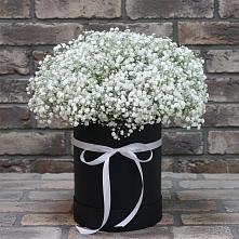Цветочная композиция из Гипсофила в шляпной коробке #REPLACE_PRED# Исаклы