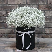 Цветочная композиция из Гипсофила в шляпной коробке в Исаклы