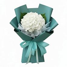 Букет цветов из:  Гортензия в Исаклы
